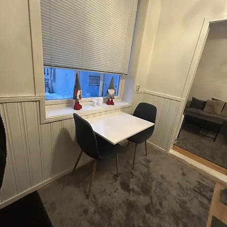 Apartamento Arctic Studio,