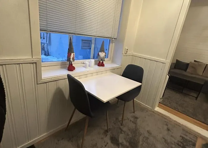 Apartamento Arctic Studio,