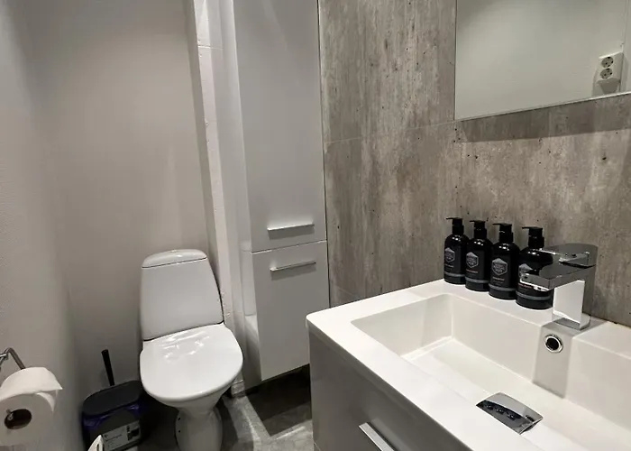 Apartamento Arctic Studio,